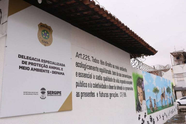 Polícia Civil prende mulher por maus-tratos a cães, extorsão e lesão corporal em Aracaju
