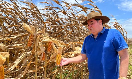 Senar celebrará o Dia do Produtor Rural com programação especial