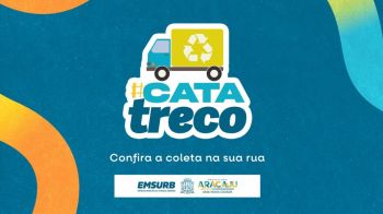 Cata-treco: confira a programação semanal do serviço