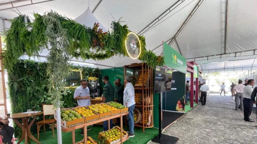 Citros Show 2025 acontece em Aracaju nos dias 13 e 14 de agosto em Aracaju