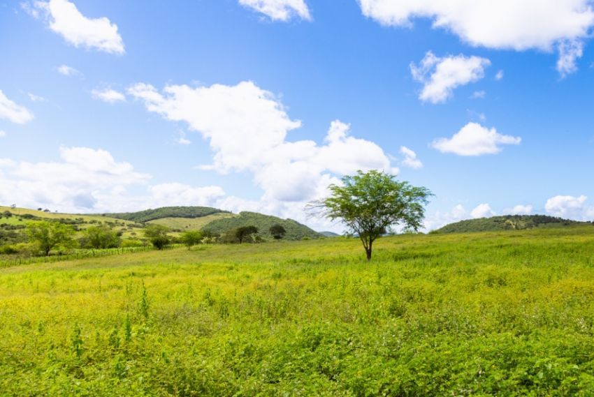 SE recebe 1ª Conferência e Feira de Desenvolvimento Sustentável do Nordeste