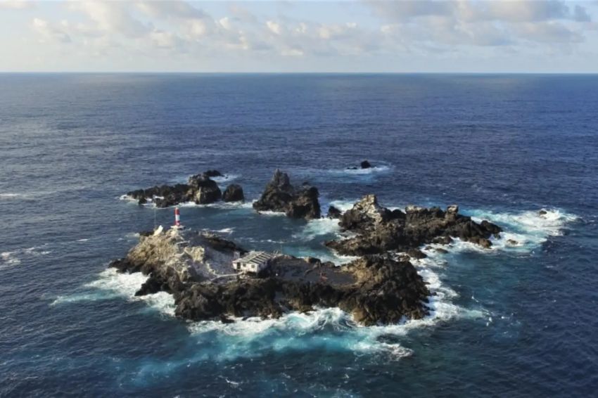 Ilhas do Nordeste podem ser as novas campeãs mundiais de biodiversidade