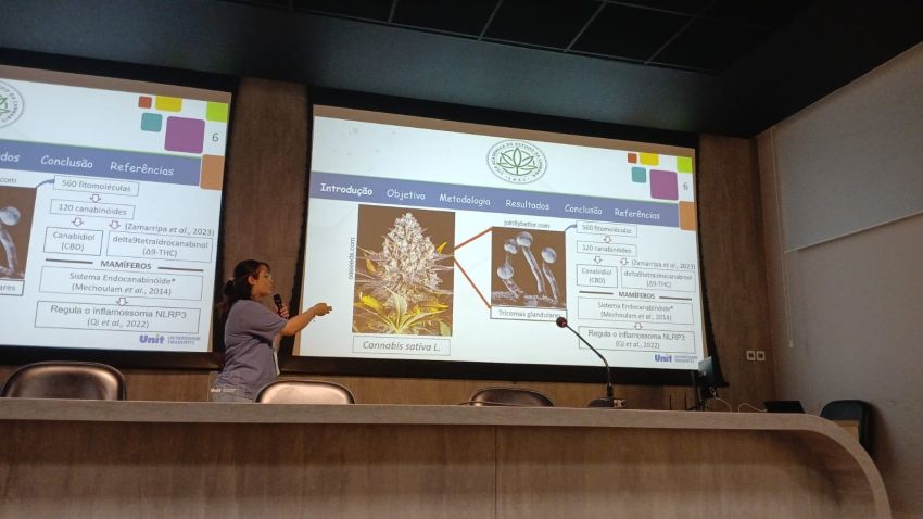 Estudantes sergipanos avançam em pesquisas sobre uso medicinal da cannabis