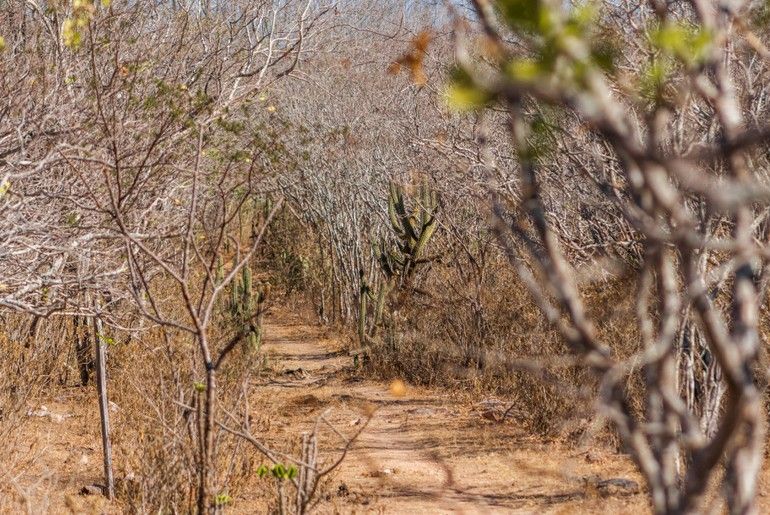 Ministério coloca Poço Verde em situação de emergência