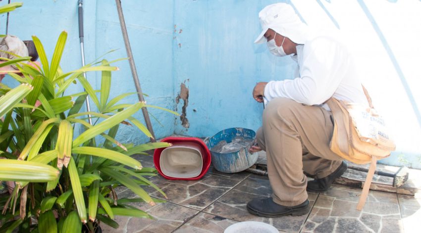 Infecções por Aedes aegypti elevam risco de complicações no parto
