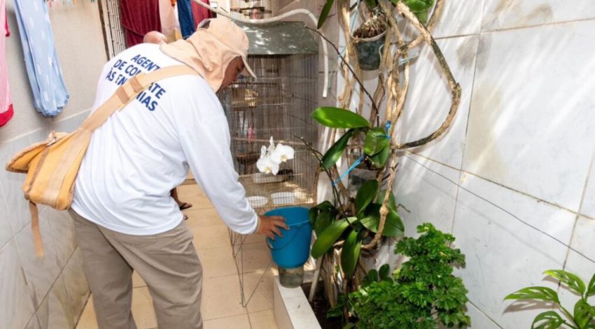 Quinto LIRAa do ano identifica seis municípios em Sergipe com alto índice de infestação do Aedes aegypti
