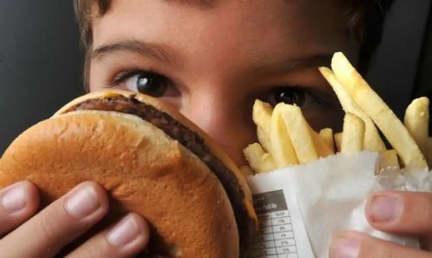 Consumo excessivo de gordura saturada pode afetar funcionamento do cérebro