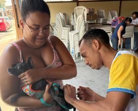 Saúde Aracaju: Mais de 25 mil cães e gatos são vacinados contra a raiva na capital