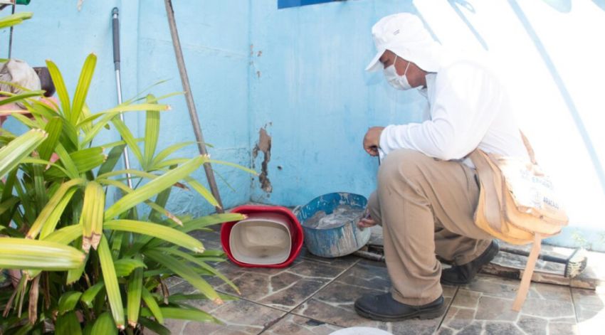 Sexto LIRAa identifica apenas um município sergipano com alto índice de infestação do Aedes aegypti