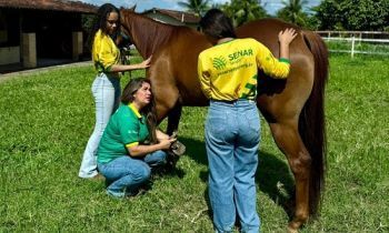 Senar SE divulga 270 vagas para curso profissionalizante no agronegócio