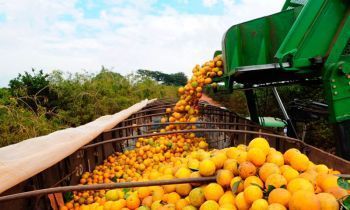 Exportações sergipanas totalizaram US$ 14,5 milhões em novembro