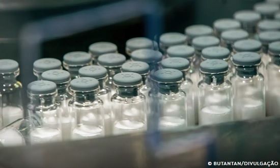 SUS adquire 3,9 milhões de doses da vacina nacional contra dengue