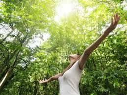 Como o contato com sol, mar e natureza fortalece corpo e mente