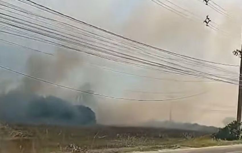 Um incêndio atinge uma vegetação no Bairro Gameleira e mobiliza bombeiros e GTA em Aracaju
