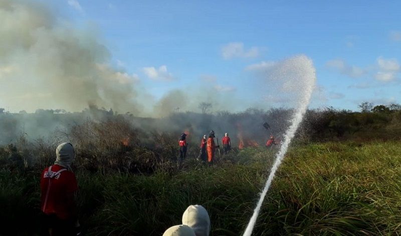 Ação integrada das forças de segurança combate incêndio florestal em São Cristóvão