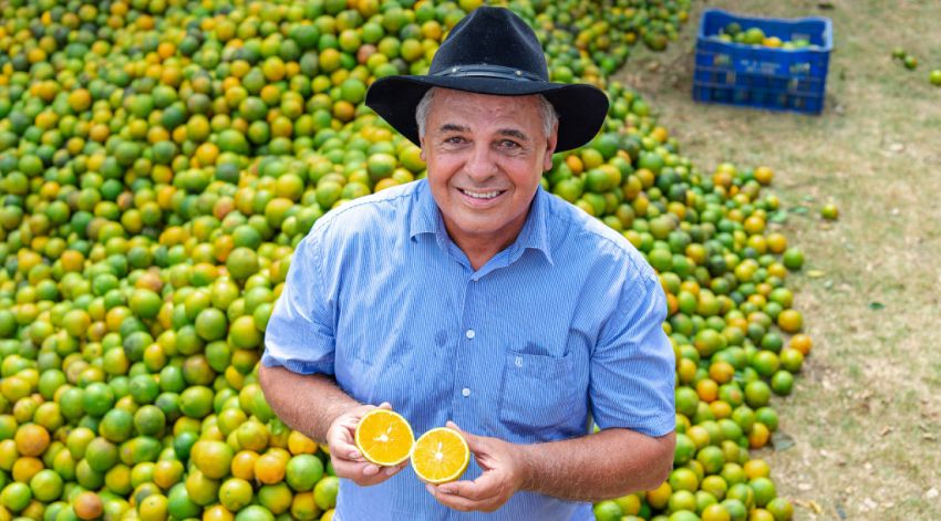 Agronegócio de Sergipe cresce 300% e sustenta superávit da balança comercial