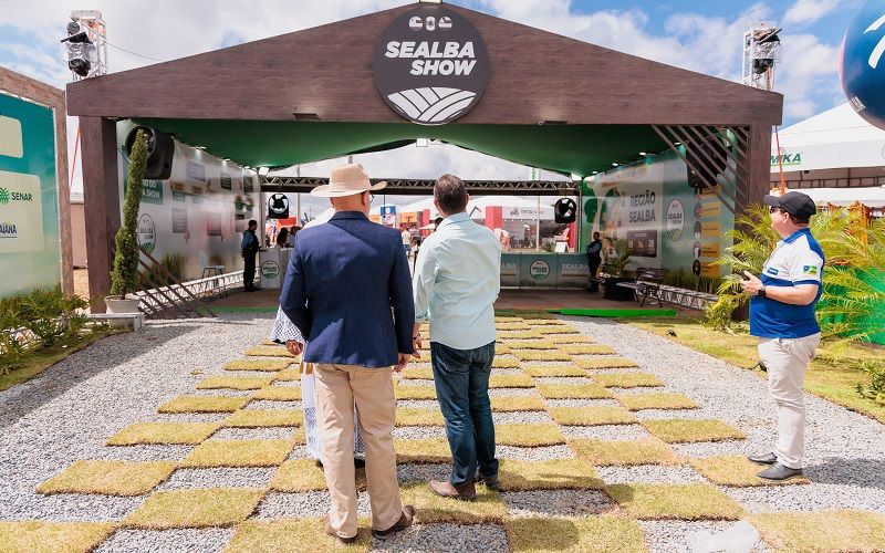 Workshop e Leilão Quarto de Milha marcam primeiro dia da Sealba Show