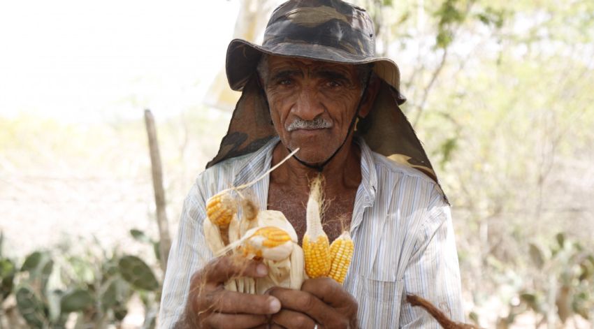Prazo para inscrições no Garantia-Safra é prorrogado