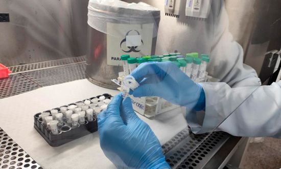 Rinovírus e Vírus Sincicial Respiratório são os mais registrados em SE