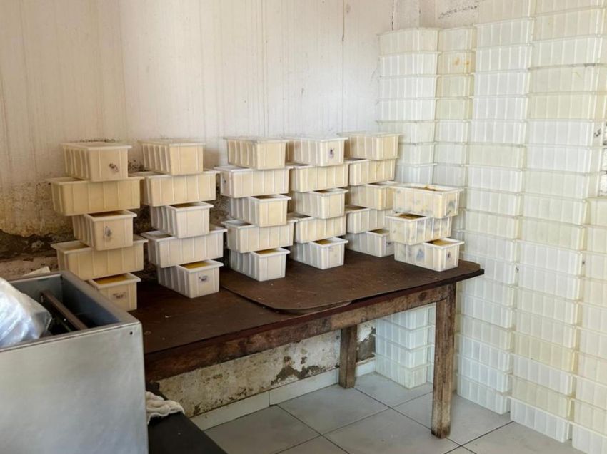 Quatro queijarias são denunciadas em Porto da Folha