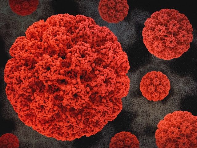 Vacina em estudo demonstra eficácia contra células tumorais ligadas ao HPV