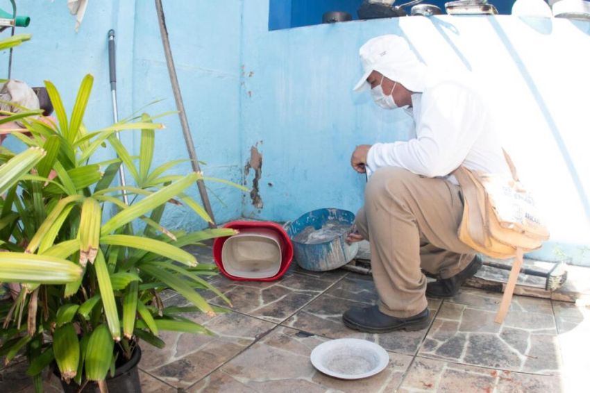 Sete municípios sergipanos estão com alta infestação do Aedes aegypti