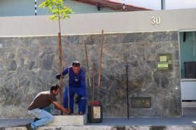 Projeto da Prefeitura de Aracaju ajuda a reduzir ilhas de calor nos bairros da capital