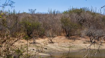 Governo de Sergipe avalia El Niño