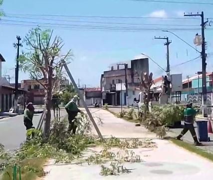 No mês do meio ambiente, Prefeitura de São Cristóvão devastou área verde que foi restaurada por moradores