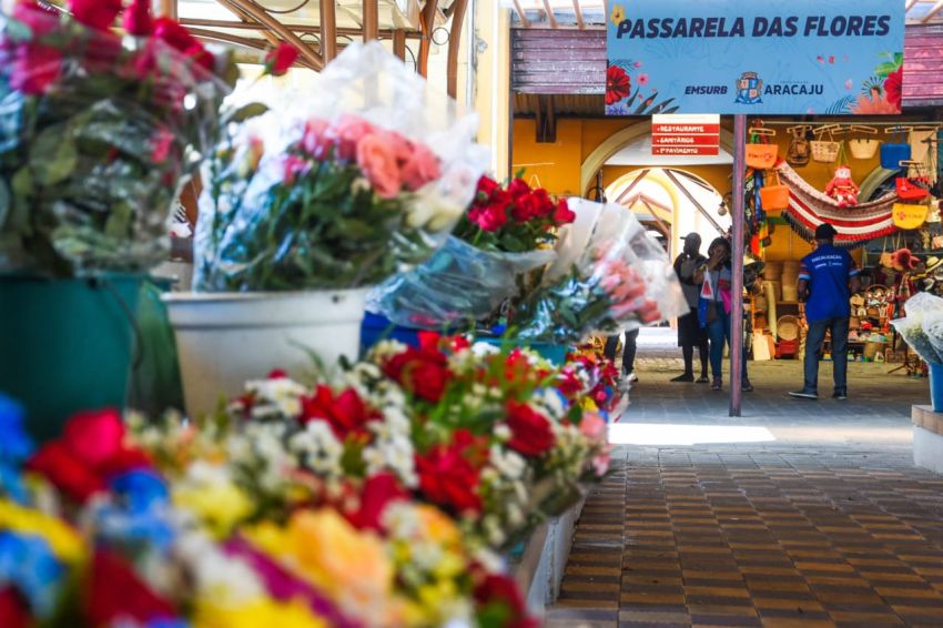 Preços do Dia de Finados em Aracaju: Procon divulga levantamento de flores, serviços e taxas